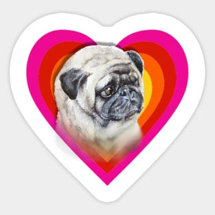 Rainbow super cute pug on a heart Sticker